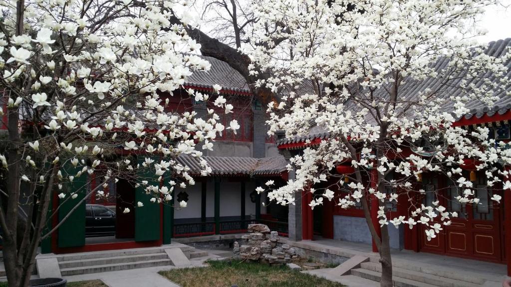 Scholar Tree Courtyard Hotel Beijing Eksteriør bilde