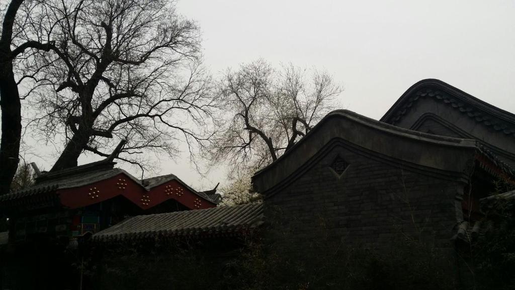 Scholar Tree Courtyard Hotel Beijing Eksteriør bilde